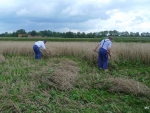 2011 Tilligte