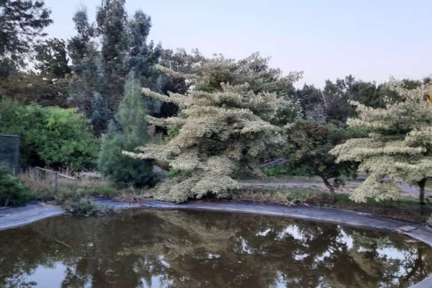 Arboretum Doornhoek