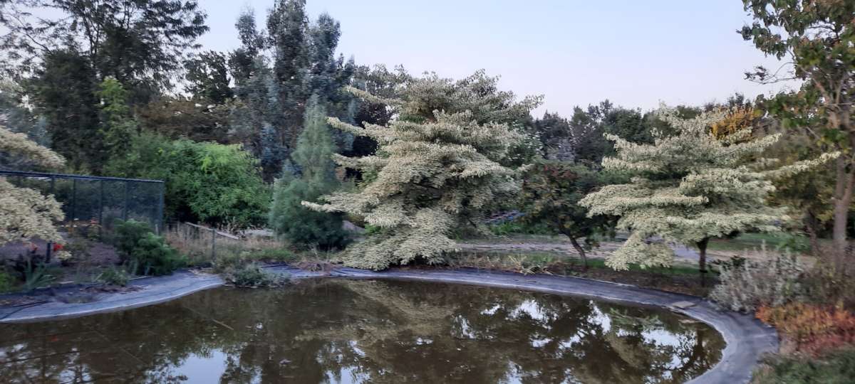 Arboretum Doornhoek