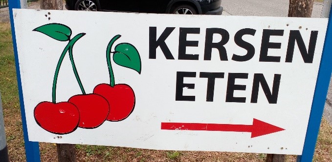 Kersenrit Info